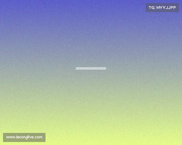 一支北美电竞战队与其中国投资人的游戏雄心