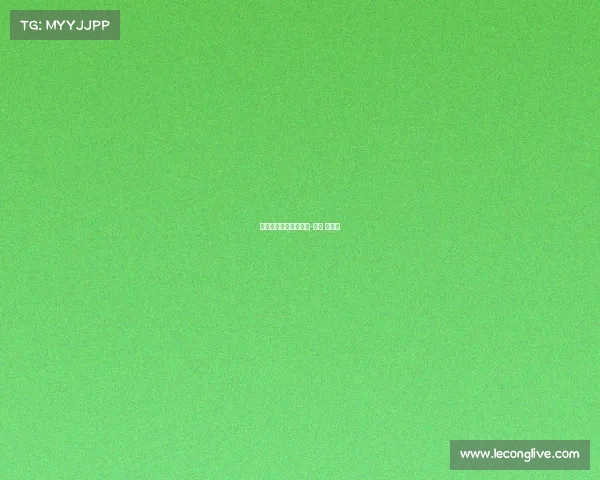 跆拳道电子竞技有几种-竞技 跆拳道